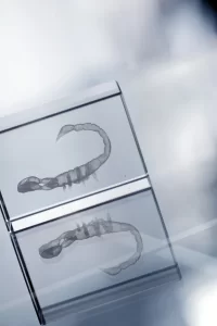 skleněné těžítko, vhodné pro 3d laser průhledná s potiskem loga - foto 8