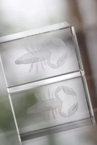 skleněné těžítko, vhodné pro 3d laser průhledná s potiskem loga - foto 9