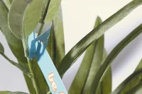 štítek k rostlinám na zakázku bílá s potiskem loga - foto 5