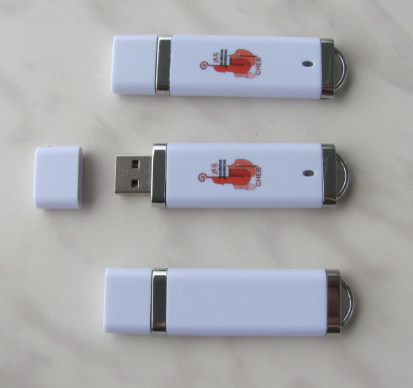 plastový reklamní flash disk silver / white - pro reklamní potisk